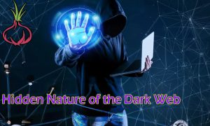 The Hidden Nature of the Dark Web