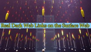 Real Dark Web Links on the Surface Web