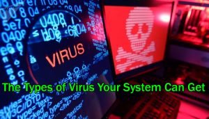 The Types of Virus Your System Can Get