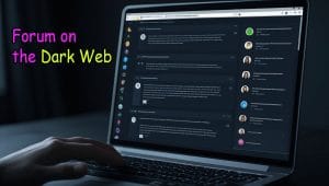 Privacy-focused anonymous forum on the dark web with user discussions