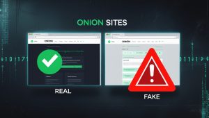 Illustration of fake onion sites and phishing scams on the dark net.